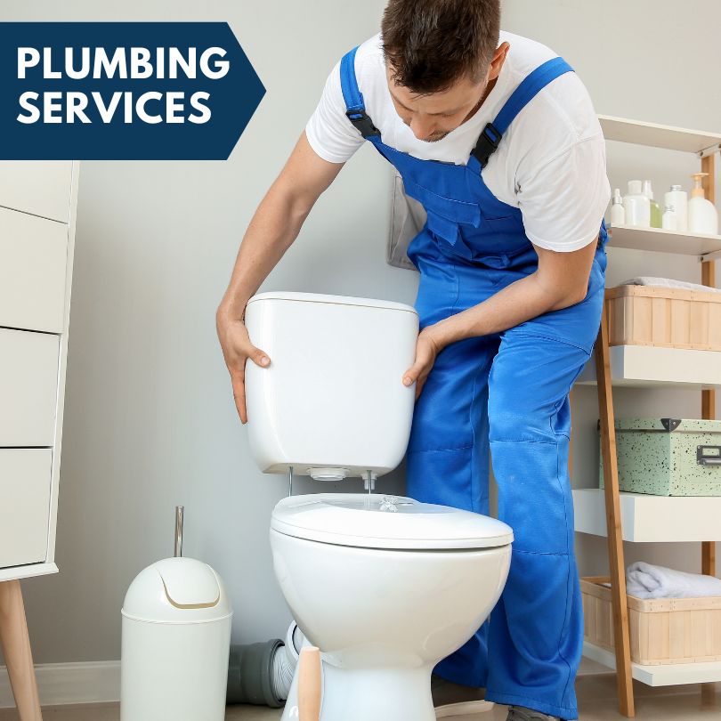 Plumbing Company in Newport, MI